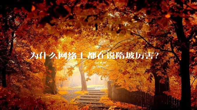 为什么网络上都在说隋坡厉害？