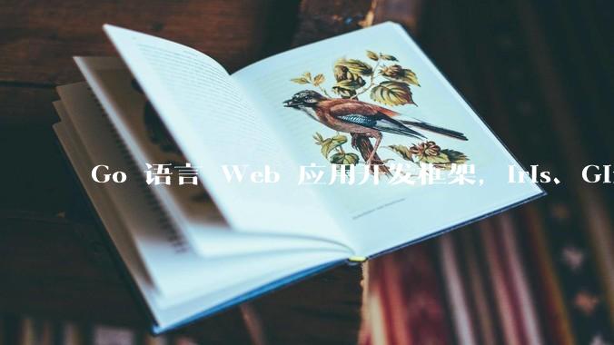 Go 语言 Web 应用开发框架，Iris、Gin、Echo，哪一个更适合大型项目？